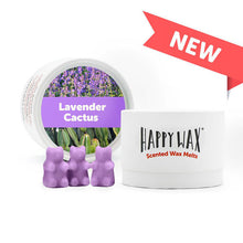 Load image into Gallery viewer, Classic Tin Happy Wax Melts - Unique Inspirations by Tracy and Anna